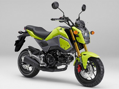 Touring luggage rack for MSX125SF - 画像 (6)